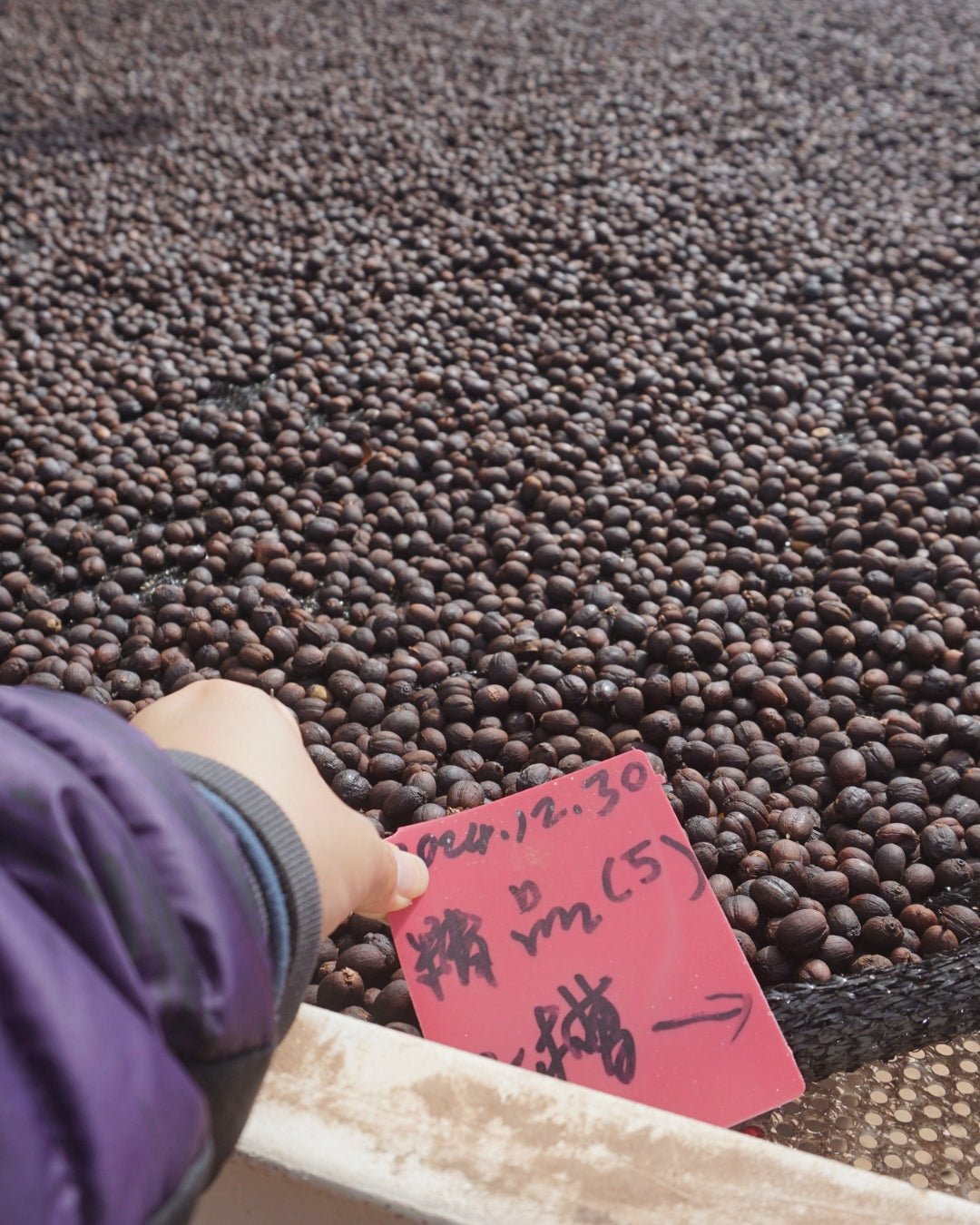 CHINA - Ye Ping - The Coffee Benders