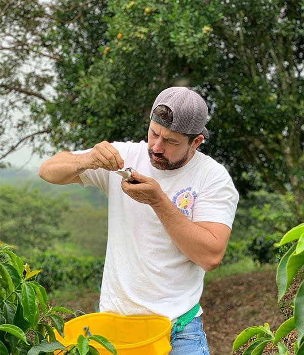 COLOMBIA - Campo Hermoso - The Coffee Benders