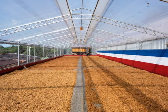 COSTA RICA - Las Lajas - The Coffee Benders