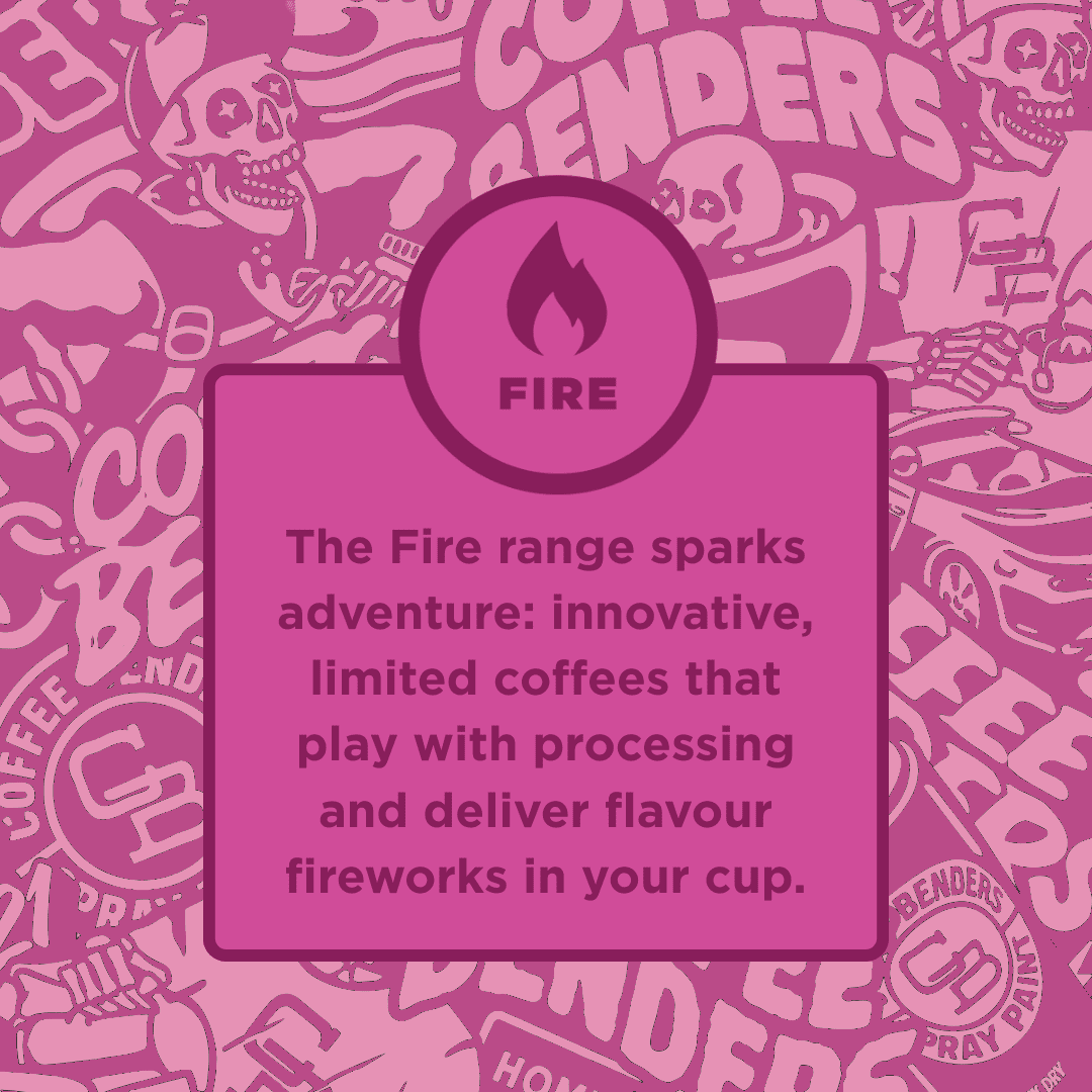 ETHIOPIA - Girma Bekele - The Coffee Benders