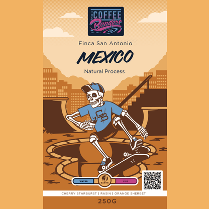 MEXICA - Finca San Antonio - The Coffee Benders